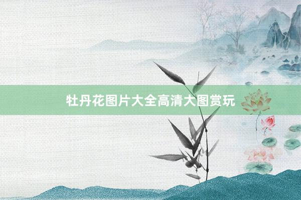 牡丹花图片大全高清大图赏玩